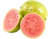 GUAYABA