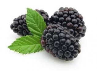 MORAS