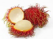RAMBUTAN