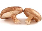 SETA SHIITAKE