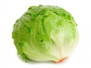 LECHUGA ICEBERG