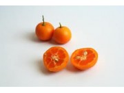 CALAMONDIN COSECHA PROPIA