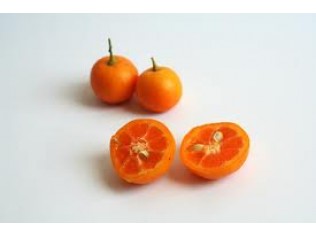 CALAMONDIN COSECHA PROPIA