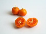 CALAMONDIN COSECHA PROPIA