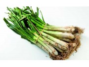 CALÇOTS