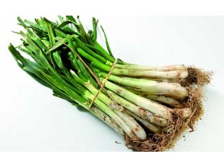 CALÇOTS