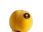 MELOCOTON DE CALANDA