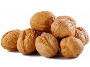 NUECES