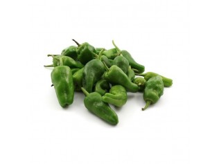 PIMIENTO PADRON