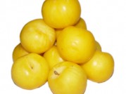 CIRUELAS AMARILLAS