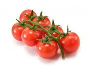 TOMATE CHERRY RAMA
